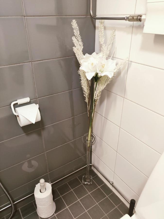 Joutjaerven Studio Apartment Лахті Екстер'єр фото